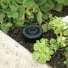 Lucky Line Realistic Sprinkler Key Cash Hider Holder, Water Resistant,