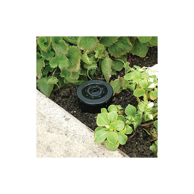 Lucky Line Realistic Sprinkler Key Cash Hider Holder, Water Resistant,