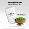 Codeage Codeage SBO Probiotics, 100 Billion CFUs Per Serving, Multi