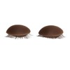 Lash Mannequin Head with 3 Pairs Replaceable Eyelid Silicone Eyelash
