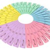 Ashton and Wright, Rulers - Shatterproof, Pastel Colours - 15cm/6"