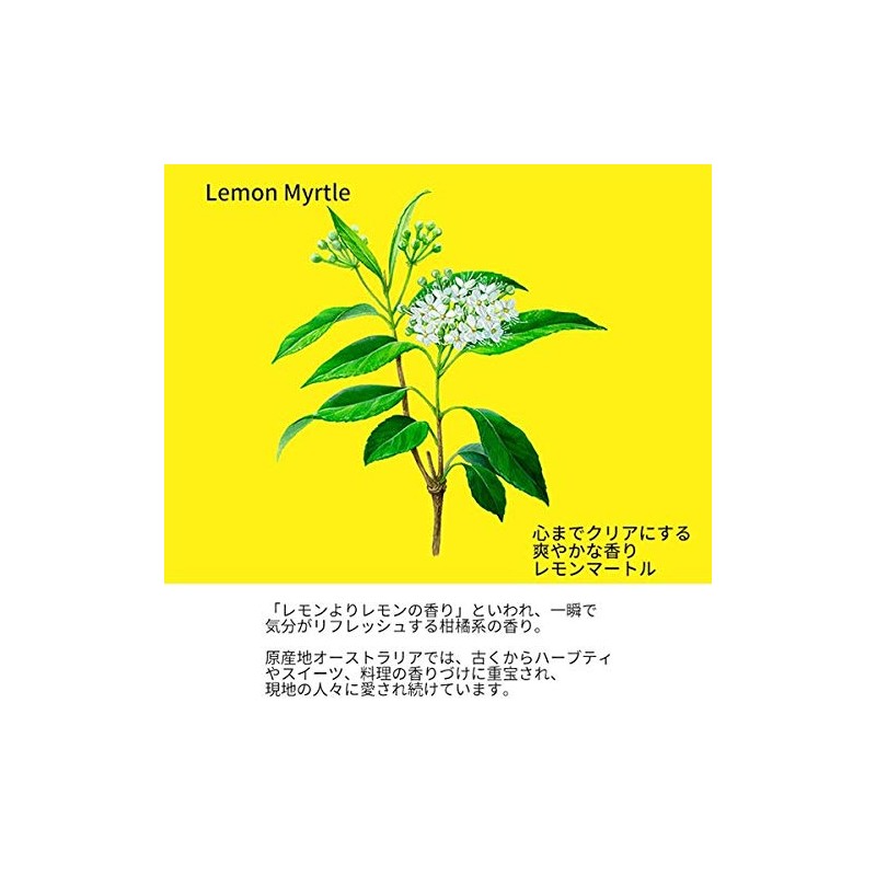 LEMON MYRTLE PRODUCTS Lemon Myrtle Hand Soap 8.5 fl oz