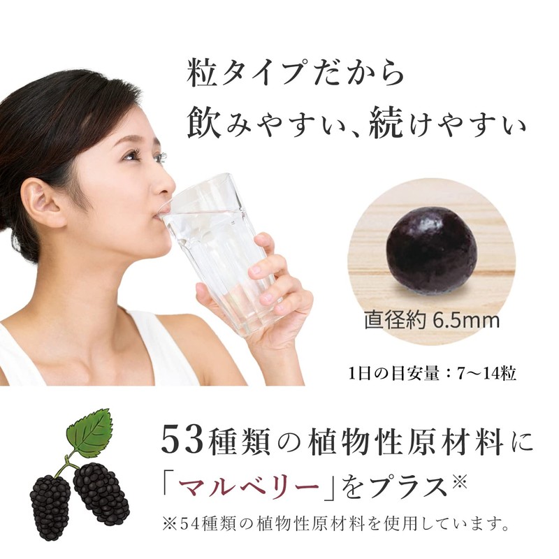 【公式】万田酵素 MULBERRY マルベリー 粒タイプ 分包 7粒×30袋 (約30日分) + スタンダード 粒タイプ