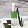 ANNEMARIE BÖRLIND 2-Phase Aloe Vera Shake (50 ml) - For