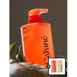 Kapune Bias Shampoo 500ml / 카푸네 바이어스 샴푸 500ml