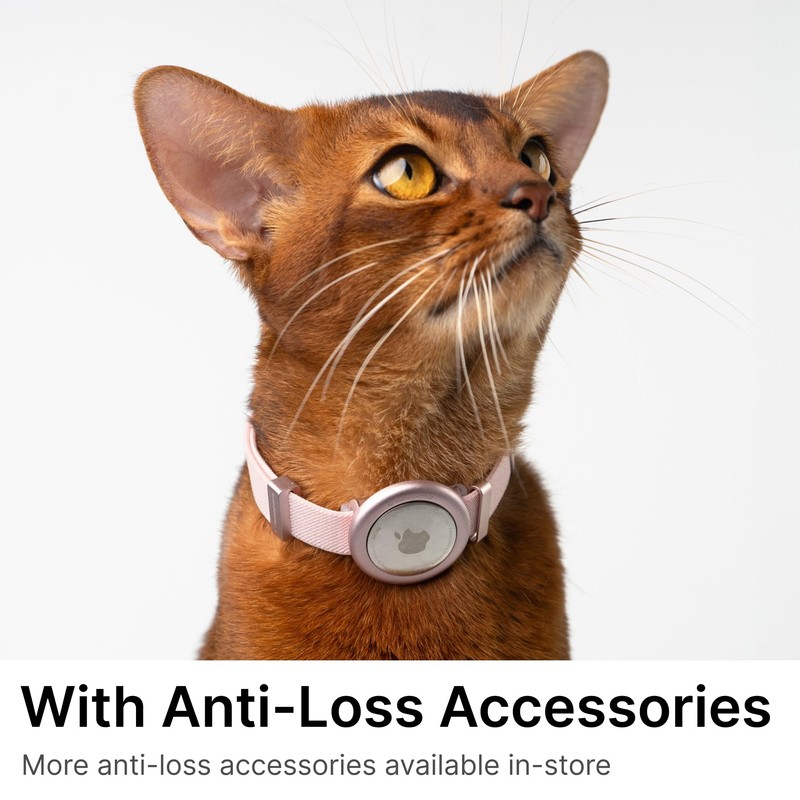 Safety Cat Collar Pro - U.S. IDA Gold Awarding Design,