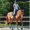 LOLEDE Fly Boots for Horses Set of 4, Breathable Textilene
