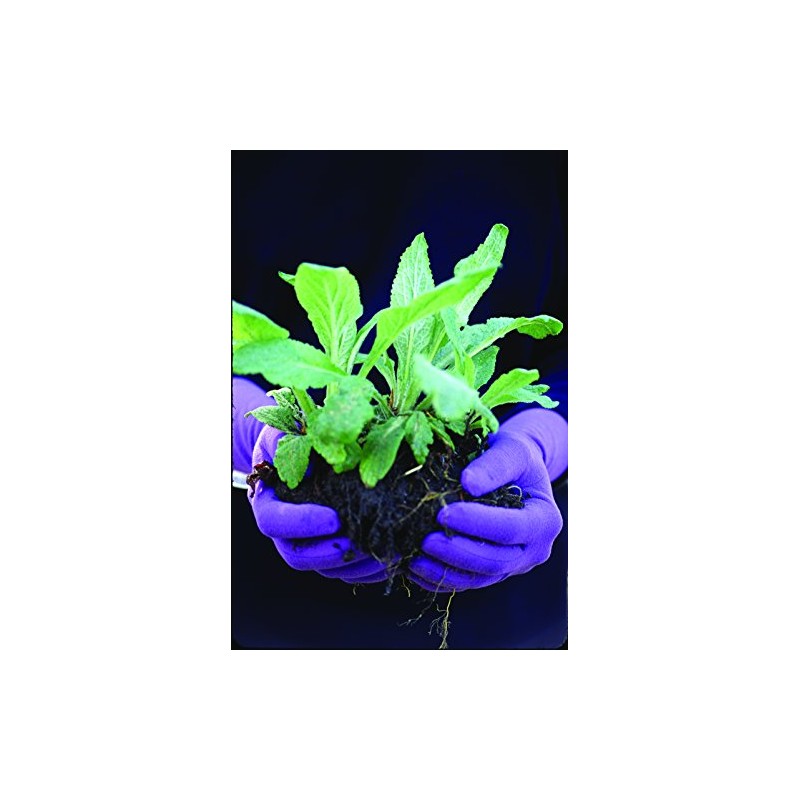 Foxgloves Original Gardening Gloves (Spring Green, Small)