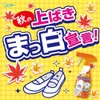 [Bulk Purchase] Hisama no Washaku Shoe Cleaner, 8.5 fl oz