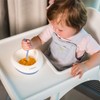 BABYONO Suction Cup and Spoon 1077/02