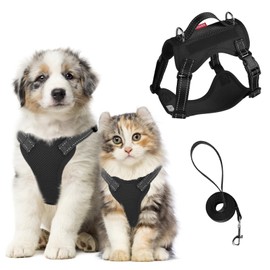 Muecleao Dog Harness Small Dog, Adjustable Soft Padded Puppy Pet Vest and Lead Set, Reflective No Pull Dog Harness with Safety Buckle and Velcro for Puppies Dogs and Cat (Black, S)