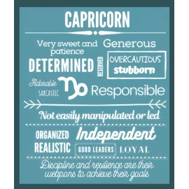 Handmade Capricorn Very Sweet & Generous Determined Loyal Zodiac Sign Celestial -MAGNET