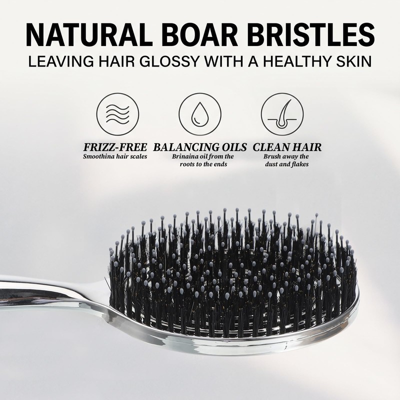 Gjinxi Vented Hair Brush Wet Dry Brush Detangling Boar Bristle