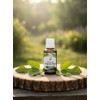 Extracto Hoja de Higo Suplemento Alimenticio, 30 ml | Vía