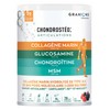 Granions Chondrostéo Marine Collagen Powder 280g