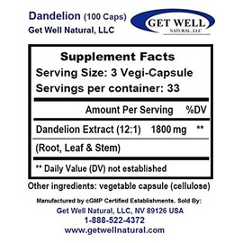 Dandelion Root (100 Capsules) - Concentrated Herbal Extract - Dietary Supplement