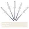 SKIR'CO Pack of 100 Painted Blind Rivets 3.2 x 12