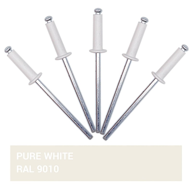 SKIR'CO Pack of 100 Painted Blind Rivets 3.2 x 12
