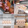 Zhanmai 120 Pcs Plastic Egg Cartons 12 Count Clear Egg