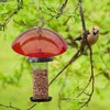 Outdoor Baffle for Bird Feeder Clear Bird Feeder Protective Dome