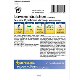 Kiepenkerl Antirrhinum Serenade F2