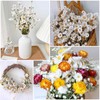 Dried Daisy Flowers Bouquet, 250+ Dry White Flowers, Artificial Sunflowers,