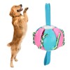 Interactive Outdoor Fly Ball Flying Saucer Ball Interesting Dog Soccer