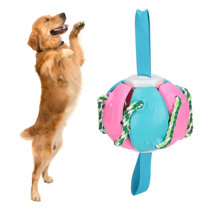 Interactive Outdoor Fly Ball Flying Saucer Ball Interesting Dog Soccer