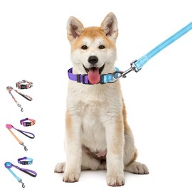 Petilet Dog Leash & Collar, Dog Collar Leash for Small, Medium and Large Dogs, Stylish, Adjustable Collar, Reflective, Stretchable, Harness, Lightweight, Breathable, Training, Walking, Running, Pet