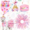 Weewooday Weewooday 4 Pieces Dog Birthday Outfits Dog Girl Bandana