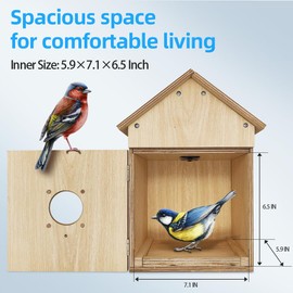 Bird House with WiFi Camera Solar Powered for Wireless Outdoors, HD View Nesting & Hatching, Box House for Bluebird Swallow Wren Chickadee, PIR Detection, SD Card & Cloud Storage, IR Night Vision IP65