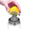 Zing Anything Citrus Zinger Original Infuser Water Bottle 28 oz
