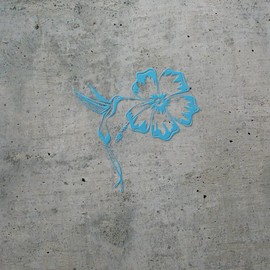 Transparent Decal Stickers of Hummingbird and Hibiscus Tattoo (Azure Blue) Premium Waterproof Vinyl Decal Stickers for Laptop Phone Accessory Helmet Car Window Mug Tuber Cup Doo ANDSKUS603755BE080322