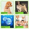 Suplemento Alimenticio Perro Probióticos Enzimas Digestivas