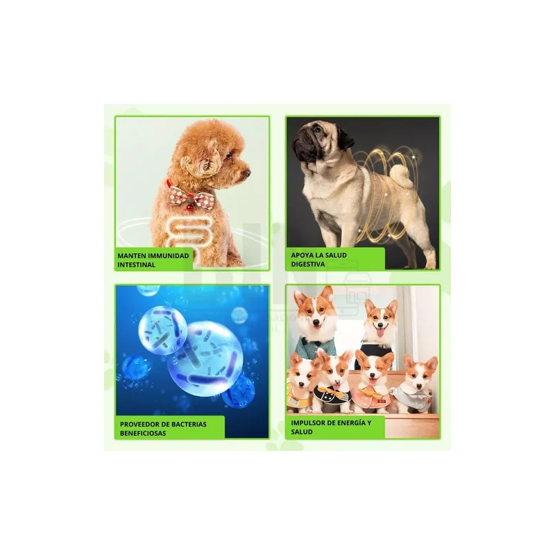 Suplemento Alimenticio Perro Probióticos Enzimas Digestivas