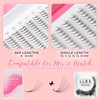 LLBA LashFolio Narrow Promade Fans | Handmade Volume Eyelashes |