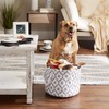 Bone Dry Pet Paw Print Collapsible Pet Storage Container Round