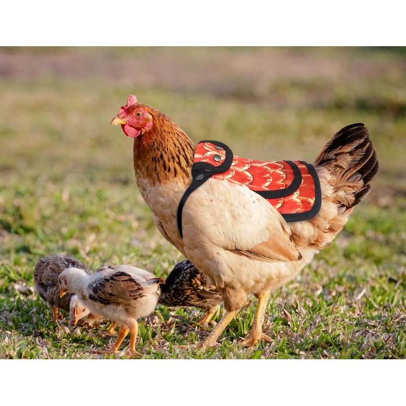 3 Pack Chicken Saddles for Hens, Chicken Saddles with Adjustable