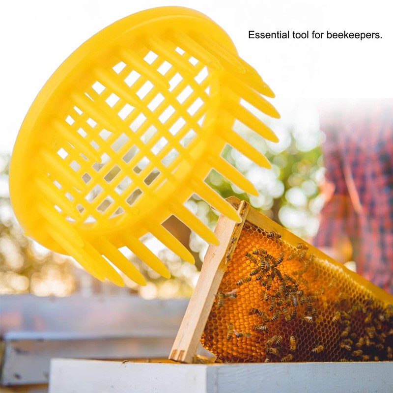 CHEOTIME 6 Pieces Queen Bee Cages, Queen Bee Catcher /