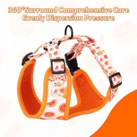 Dog Cat Harness and Leash Set, Puppia Soft Mesh Padded and Adjustable Puppy Vest Cute Dog Clothes Escape Proof Easy Walk Pet Accessories (Grapefruit, L (Neck 15.7"-21"; Chest 19.6"-28.3"))