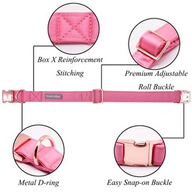 Lionet Paws Dog Collar with Bow Tie - Comfortable Silk Pink Dog Collar with Removable Bow Tie for Small Dogs, Neck 25-40 cm