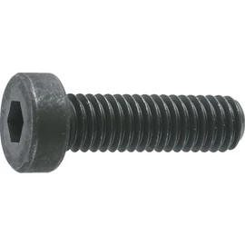 TRUSCO(トラスコ) 低頭六角穴付ボルト 黒染め全ネジ M4×10 22本入 B081-0410