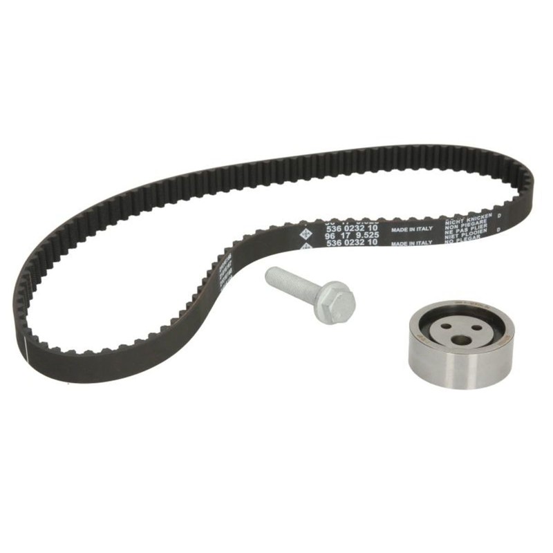 INA 530 0490 10 Timing Belt Set