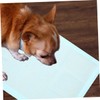 VILLFUL 20pcs Super Absorbent Disposable Pet Pee Pads Leak Training