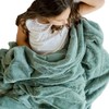 SARANONI Super Soft Comfy Lush 40" x 60" Blanket for