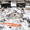 Saillong 2 Pack Upgrade Bird Bath Heater for Outdoors in