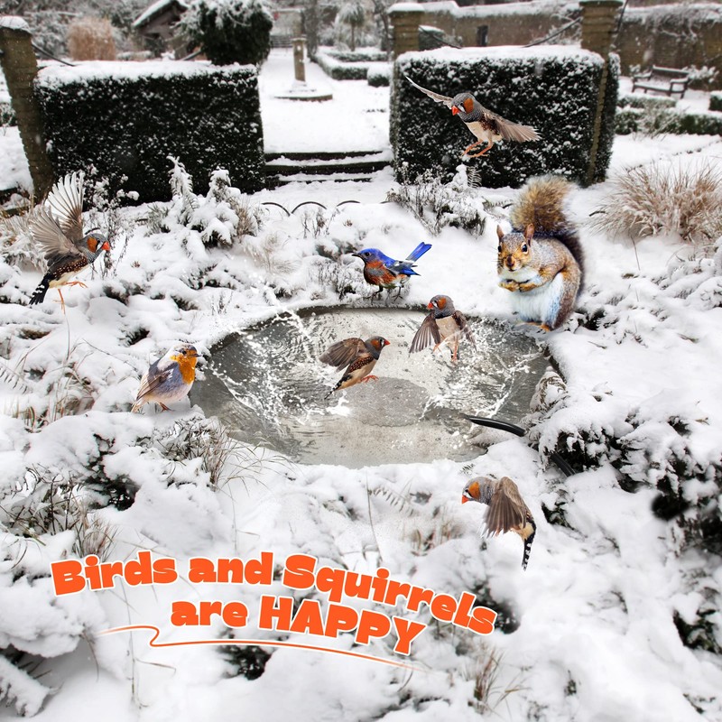 Saillong 2 Pack Upgrade Bird Bath Heater for Outdoors in