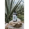 Izapa Jade Maya Loción Manos Cuerpo 480ml Aceite Almendras Dulces