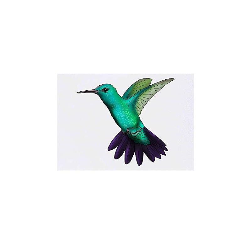 Azeeda Large 'hummingbird' temporary tattoos (TO00042246)