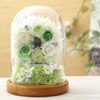 Teat Sight Preserved Flower Flower Gift Flower Present Glass Dome